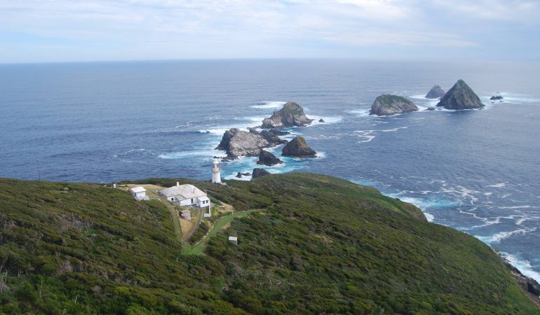 La isla desierta que el Gobierno de Tasmania ofrece cuidar. La isla desierta que el Gobierno de Tasmania ofrece cuidar.
