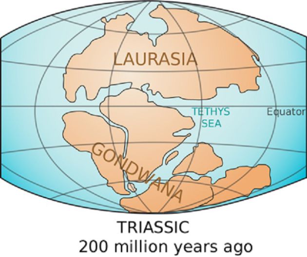 Los súpercontinentes de Laurasia y Gondwana. Los súpercontinentes de Laurasia y Gondwana.