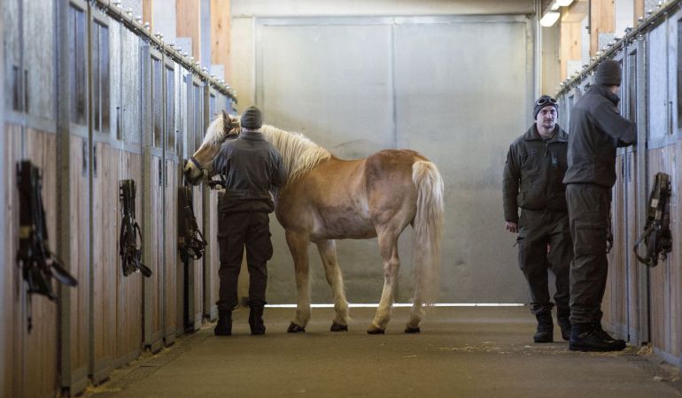 El Congreso de los Diputados respaldó este martes de forma mayoritaria la petición de Ciudadanos de reformar el Código Civil para reconocer a los animales de compañía como seres vivos dotados de sensibilidad y evitar, por ejemplo, que puedan ser embargables como el resto del patrimonio material para saldar una deuda.
El Congreso de los Diputados respaldó este martes de forma mayoritaria la petición de Ciudadanos de reformar el Código Civil para reconocer a los animales de compañía como seres vivos dotados de sensibilidad y evitar, por ejemplo, que puedan ser embargables como el resto del patrimonio material para saldar una deuda.