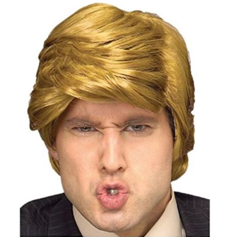 La peluca de Donald Trump La peluca de Donald Trump