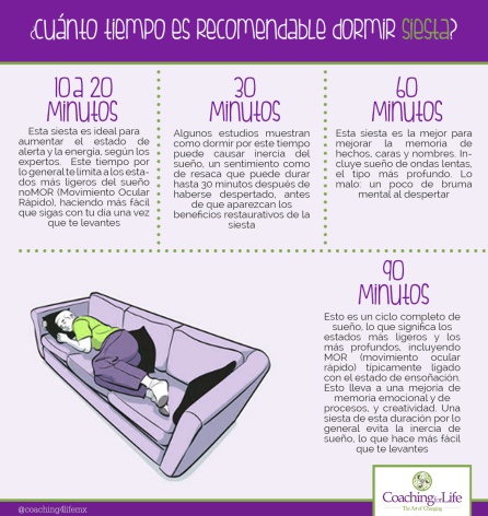 ¿Cuánto es recomendable dormir siesta? ¿Cuánto es recomendable dormir siesta?