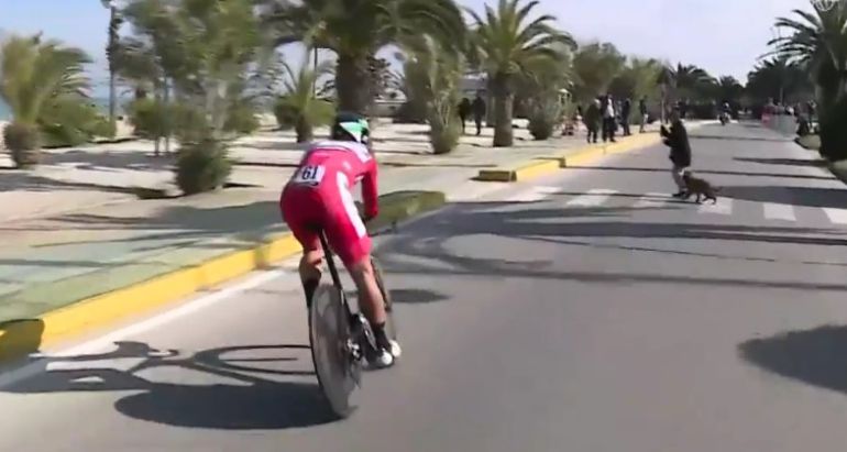 Sagan se enfrenta a una mujer que paseaba su perro... en plena contrarreloj Sagan se enfrenta a una mujer que paseaba su perro... en plena contrarreloj