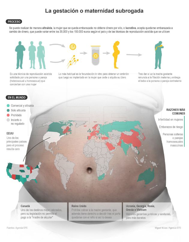 La gestación o maternidad subrogada en el mundo La gestación o maternidad subrogada en el mundo