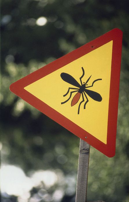 Una señal alerta de mosquitos en Finlandia. Una señal alerta de mosquitos en Finlandia.
