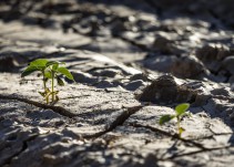 Encuentran evidencias de que la vida comenzó en tierra firme y no en el mar