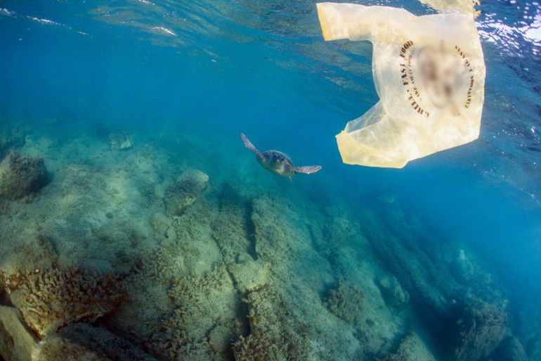 Este es una de las millones de bolsas de plástico de un solo uso que acaban en el mar provocando un grave impacto ambiental.
Este es una de las millones de bolsas de plástico de un solo uso que acaban en el mar provocando un grave impacto ambiental.