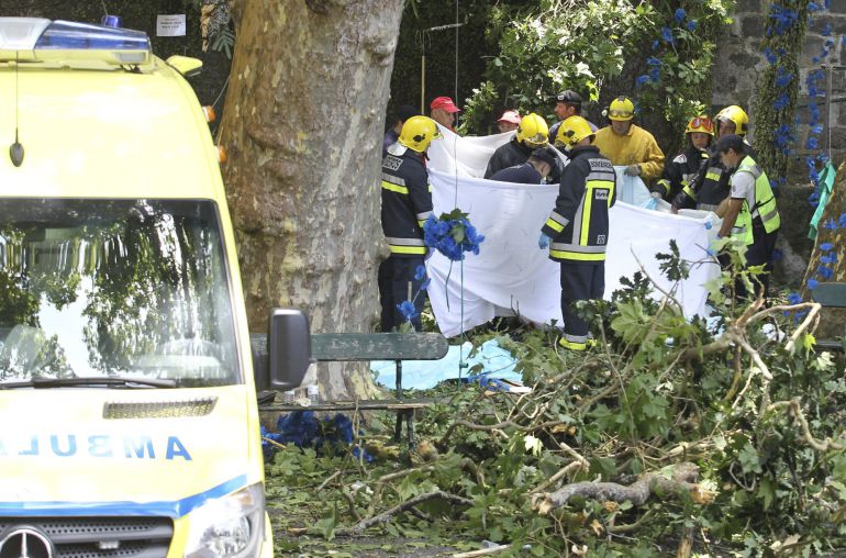 Bomberos y trabajadores de los equipos de rescate trabajan en el lugar en el que un árbol ha caído hiriendo a varias personas Bomberos y trabajadores de los equipos de rescate trabajan en el lugar en el que un árbol ha caído hiriendo a varias personas
