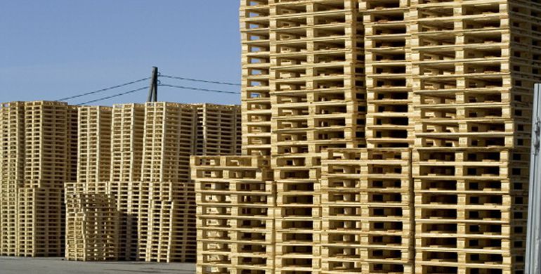 La CNMC sancionó a más de veinte empresas del sector La CNMC sancionó a más de veinte empresas del sector