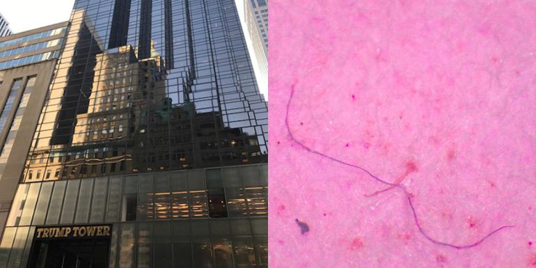 Orb Media ha encontrado dos fibras de plástico en el agua de grifo de la Torre Trump de Nueva York. Casi el 94% de las muestras de agua potable recogidas en Estados Unidos dieron positivo con respecto a la presencia de microplásticos.
Orb Media ha encontrado dos fibras de plástico en el agua de grifo de la Torre Trump de Nueva York. Casi el 94% de las muestras de agua potable recogidas en Estados Unidos dieron positivo con respecto a la presencia de microplásticos.