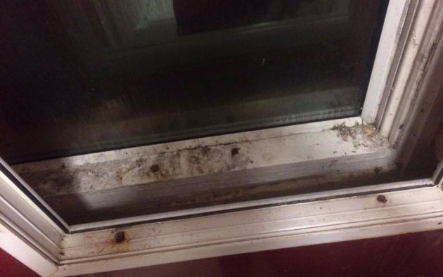 La mujer quedó atrapada entre las dos ventanas. La mujer quedó atrapada entre las dos ventanas.