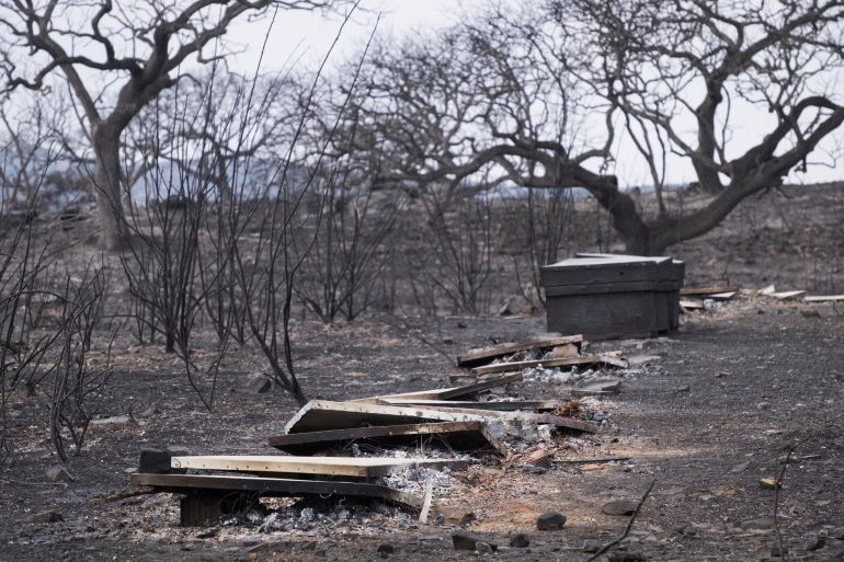 Vista de una de las zonas afectadas por el incendio forestal que se declaró ayer en La Granada de Riotinto (Huelva) y que provocó el desalojo de más de medio millar de personas.
Vista de una de las zonas afectadas por el incendio forestal que se declaró ayer en La Granada de Riotinto (Huelva) y que provocó el desalojo de más de medio millar de personas.