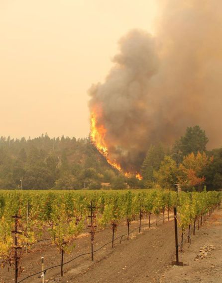 Vista general de un incendio forestal cerca de los viñedos Bellissimo, a pocos kilómetro de Calistoga, en el estado de California (EE UU), el pasado 11 de octubre. Vista general de un incendio forestal cerca de los viñedos Bellissimo, a pocos kilómetro de Calistoga, en el estado de California (EE UU), el pasado 11 de octubre.