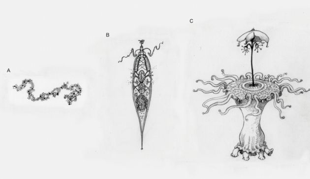 La investigación plantea un enfoque evolucionista en el resto de planetas. La investigación plantea un enfoque evolucionista en el resto de planetas.