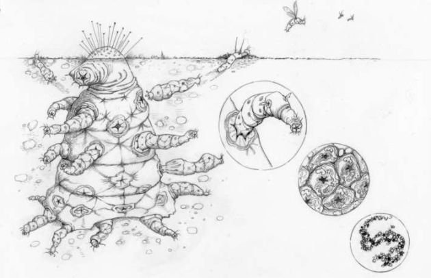 Las formas de vida extraterrestres, según la universidad de Oxford. Las formas de vida extraterrestres, según la universidad de Oxford.