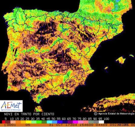 Índice de vegetación a 31 de octubre de 2017. Índice de vegetación a 31 de octubre de 2017.
