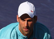 Djokovic anuncia su vuelta a las pistas
