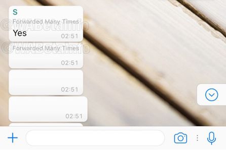 El medio detecta la nueva opción de WhatsApp. El medio detecta la nueva opción de WhatsApp.