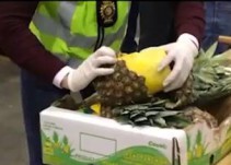 Lo que la piña esconde