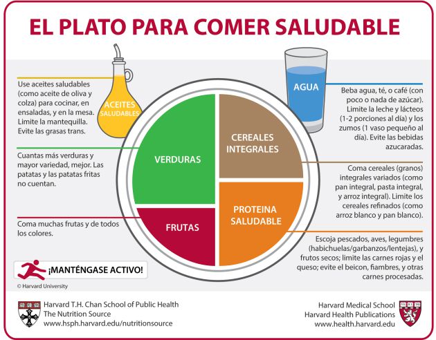 La distribución de la comida en un plato saludable, según Harvard. La distribución de la comida en un plato saludable, según Harvard.