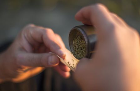 7 de cada 10 jóvenes banaliza los riesgos del alcohol y cannabis 7 de cada 10 jóvenes banaliza los riesgos del alcohol y cannabis