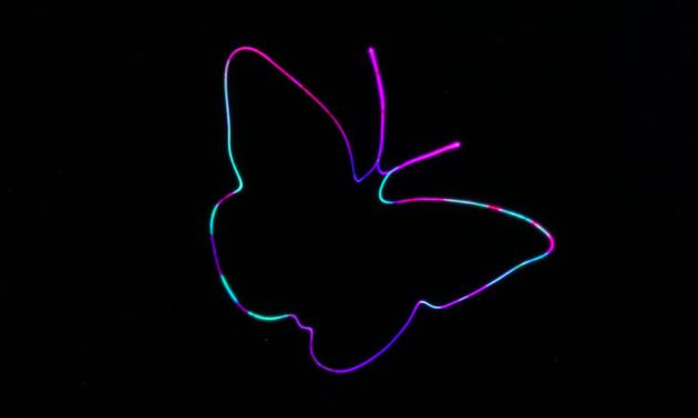 Una mariposa desarrollada a través de esta técnica. Una mariposa desarrollada a través de esta técnica.