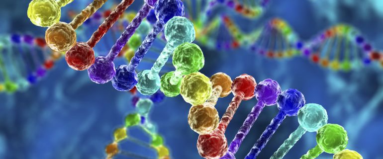 Cuando un individuo muere, algunos de sus genes continúan activos según una nueva investigación.
Cuando un individuo muere, algunos de sus genes continúan activos según una nueva investigación.