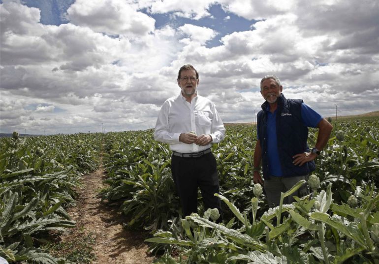 Mariano Rajoy, junto al campo de alcachofas durante su visita a una finca de cultivo en Tudela. Mariano Rajoy, junto al campo de alcachofas durante su visita a una finca de cultivo en Tudela.