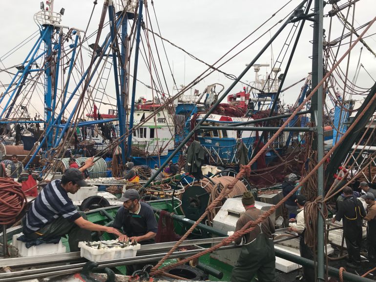Pescadores marroquíes desembarcan la captura en el Puerto de Dajla (Sáhara Occidental) Pescadores marroquíes desembarcan la captura en el Puerto de Dajla (Sáhara Occidental)