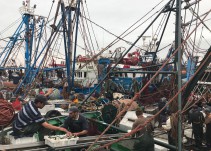 Los pescadores, "más tranquilos" tras la reacción de Marruecos a la sentencia