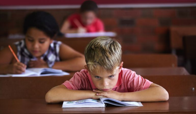 La OCDE advierte sobre el fracaso escolar entre los extranjeros La OCDE advierte sobre el fracaso escolar entre los extranjeros