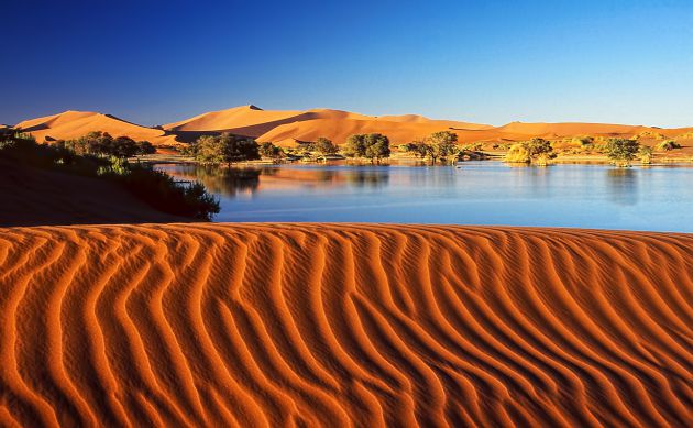 Desierto de Namibia. Desierto de Namibia.