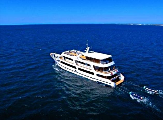 Crucero de lujo en las islas Galápagos: excursión de 6 días con un naturalista a bordo del Odyssey. Crucero de lujo en las islas Galápagos: excursión de 6 días con un naturalista a bordo del Odyssey.
