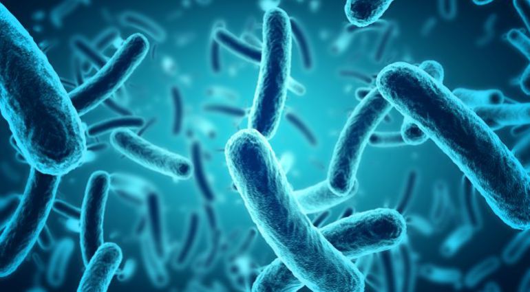 Las superbacterias matan 30 veces más que los accidentes de tráfico Las superbacterias matan 30 veces más que los accidentes de tráfico