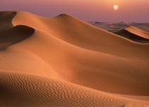 Científicos chinos cultivan la primera cepa de arroz en el desierto con agua del mar
