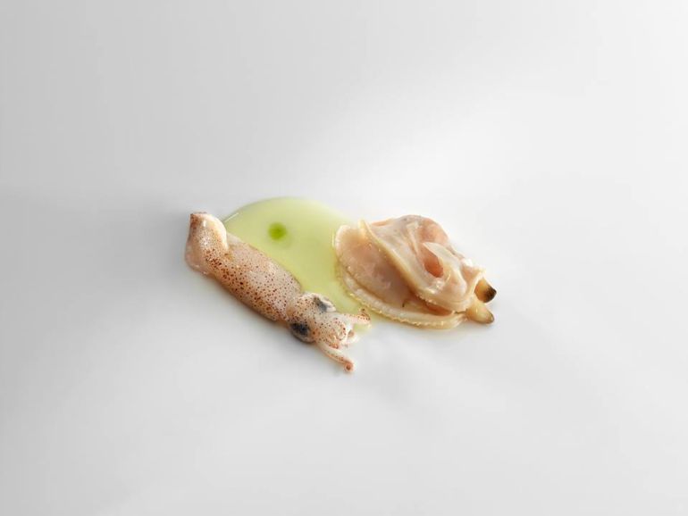 'Puntillas, almeja rubia y jugo de alcachofa'. 'Puntillas, almeja rubia y jugo de alcachofa'.