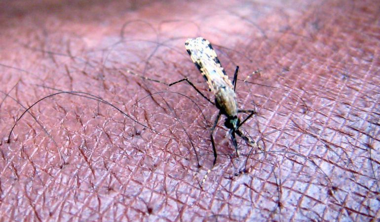 El plan para acabar con la malaria. El plan para acabar con la malaria.