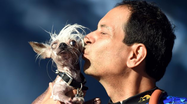 Rascal Deux fue uno de los ejemplares más populares. Rascal Deux fue uno de los ejemplares más populares.