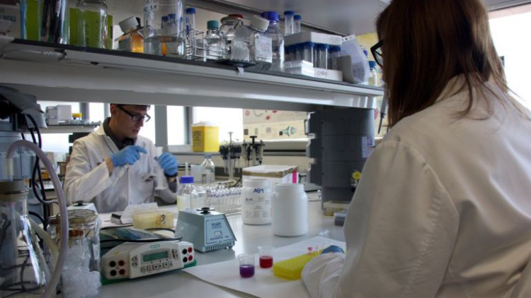 La ciencia no sólo es cuestión de presupuesto