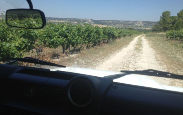 De paseo por los viñedos en 4x4. De paseo por los viñedos en 4x4.