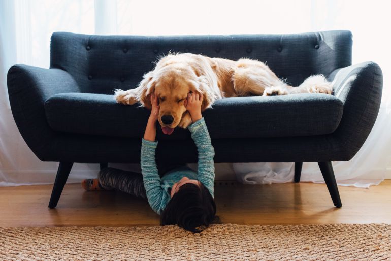 Los perros forman parte de las rutinas de sus dueños, lo que hace que su pérdida sea aún más estresante Los perros forman parte de las rutinas de sus dueños, lo que hace que su pérdida sea aún más estresante