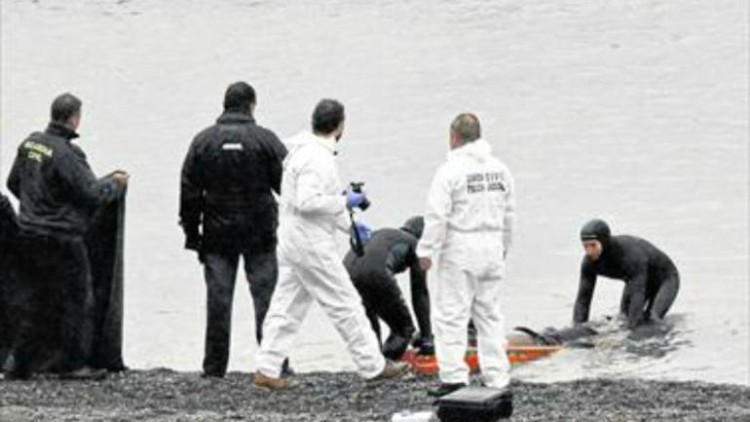 La Audiencia Provincial de Cádiz ordena reabrir la investigación sobre la tragedia del Tarajal