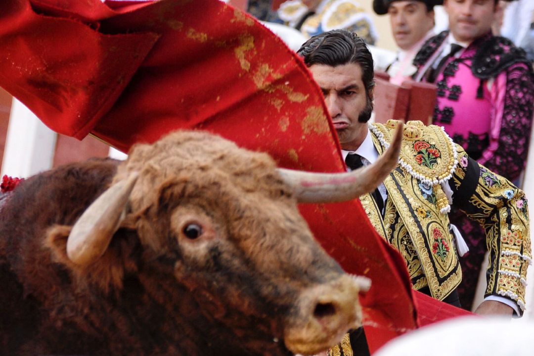 Toros Salamanca: El indulto de Liricoso, de Montalvo, da el triunfo a Antonio Ferrera Toros Salamanca: El indulto de Liricoso, de Montalvo, da el triunfo a Antonio Ferrera