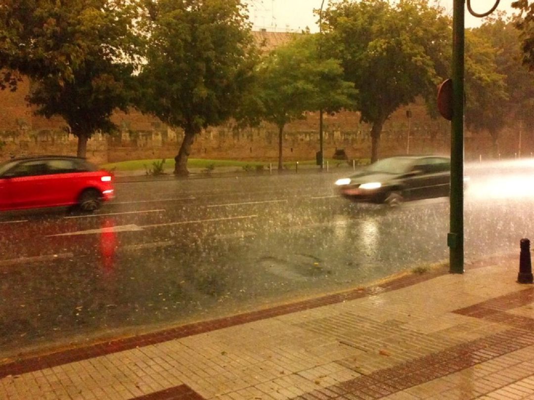 Sevilla capital y provincia recuperan la normalidad tras las lluvias torrenciales del viernes Sevilla capital y provincia recuperan la normalidad tras las lluvias torrenciales del viernes