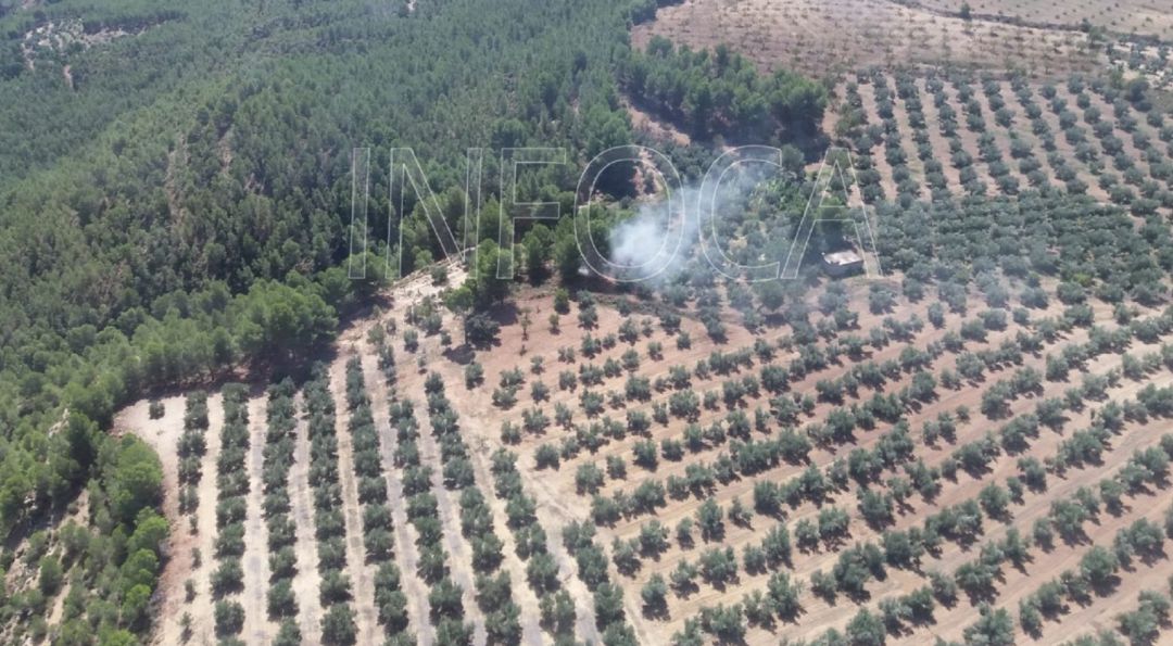 Conato de incendio en Cuevas del Campo Conato de incendio en Cuevas del Campo