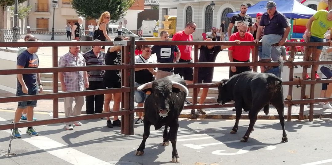 Encierros de Almodóvar del Campo 2018 Encierros de Almodóvar del Campo 2018
