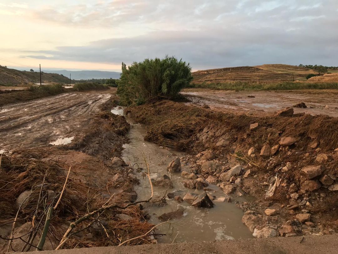 Imagen de los destrozos que ha causado la tormenta cerca de Yebra. Imagen de los destrozos que ha causado la tormenta cerca de Yebra.