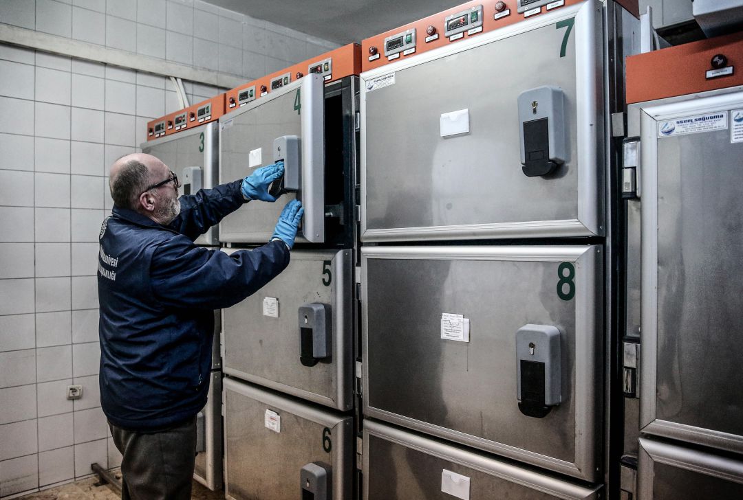 Imagen de una Morgue. Imagen de una Morgue.