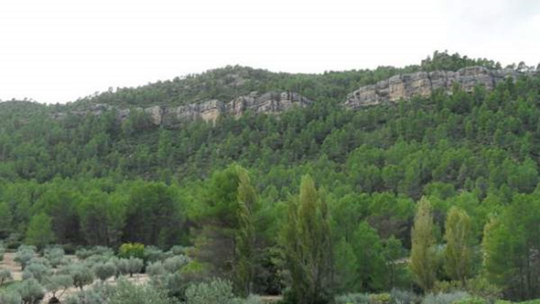 Parque Natural de las Hoces del Cabriel. Parque Natural de las Hoces del Cabriel.