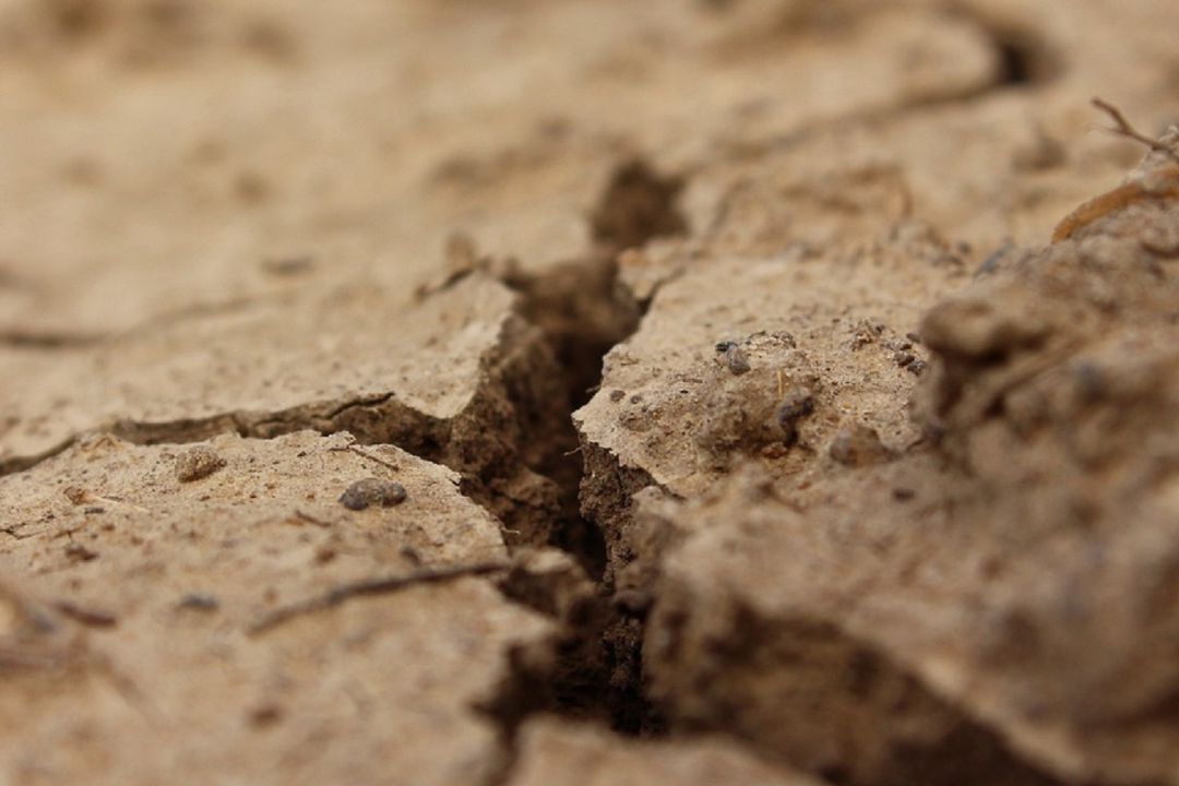 Més divorcis i més custòdies compartides Més divorcis i més custòdies compartides