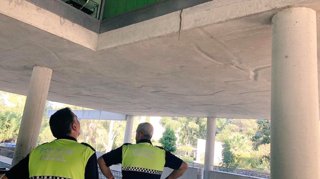 Una culebra en el edificio de Salud Responde
